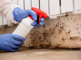 Best Crawl Space Mold Remediation  in Lake Shore, UT